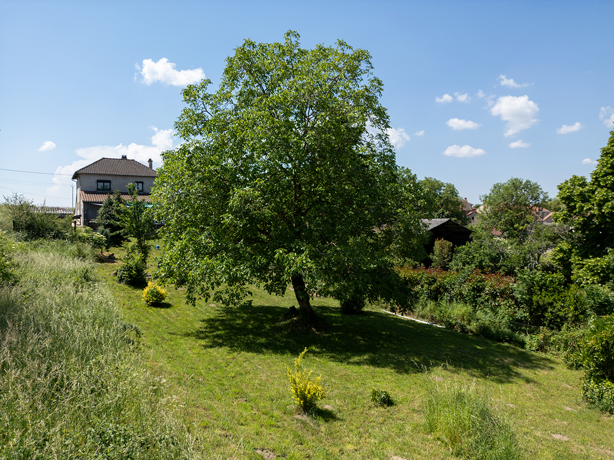 photo (10b)